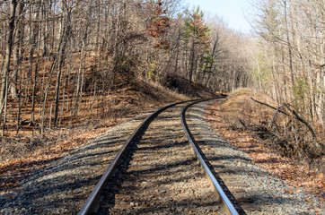 Train tracks in the forest