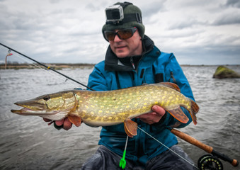 Sea pike caught in April on fly rod