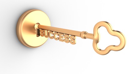 Key to Success and a keyhole isolated on white. 3D-rendering.