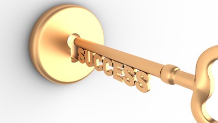 Key to Success and a keyhole isolated on white. 3D-rendering.