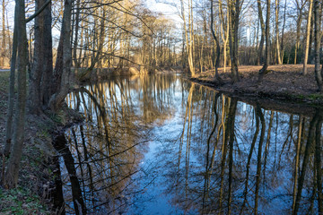 beautiful, tree branches, landscape, nature and the lake