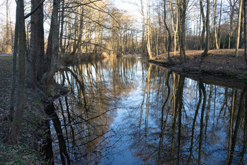 beautiful, tree branches, landscape, nature and the lake
