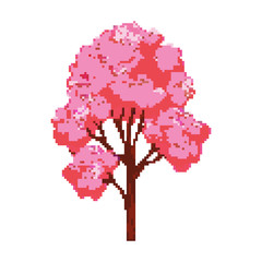 Pixel sakura tree. Pixel art 8 bit vector © nataliia_ptashka