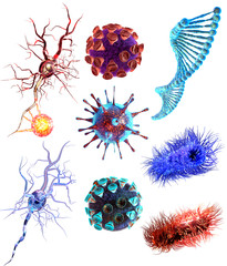 Virus, Dna, nerve cells  and bacteria large collection. Detailed medical illustration isolated on white background. 3d render - 336208231
