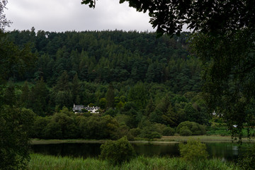 A lost house in the Wicklow Mountains forest
