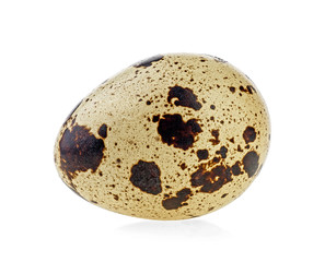 Quail egg isolated on a white background