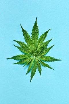 Small bunch of cannabis leaves