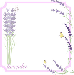 Lavender background with place for your text
