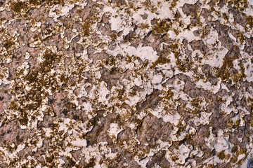 Granite paint peeled off, moss.