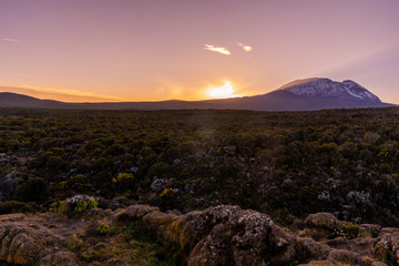 Beautiful landscape of Tanzania and Kenya from Kilimanjaro mountain.