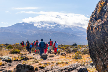 Groep trekkers die tussen sneeuw en rotsen van de Kilimanjaro-berg wandelen