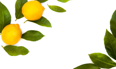 lemons with leaves on a white empty background.