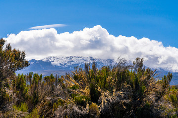 Beautiful landscape of Tanzania and Kenya from Kilimanjaro mountain.