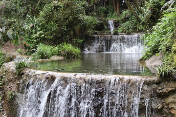Beautiful landscape of cascade falls over mossy rocks, stones cover with moss, in a Mountain in Sichuan, China