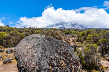 Beautiful landscape of Kilimanjaro volcano in Tanzania