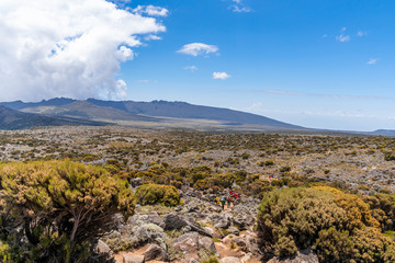 Beautiful landscape of Tanzania and Kenya from Kilimanjaro mountain.