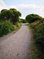 summer weekend in imatra finland