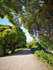 summer weekend in imatra finland