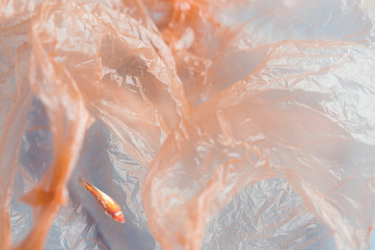 Manmade pollution in the water