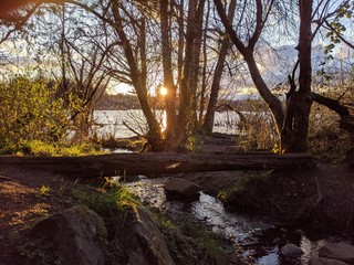 Creek running over stones through a wooded area into a lake in the background, with a sunset shining through the trees and brush with warm colors. 