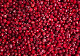 Fresh frozen red juicy cranberries close-up
