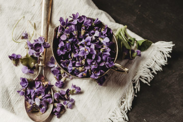 Violet violets flowers bloom from a spring forest. Viola odorata in matte dark photography styled studio shoot
Fragrant edible plant 