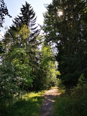 Fototapeta premium summer weekend in imatra finland