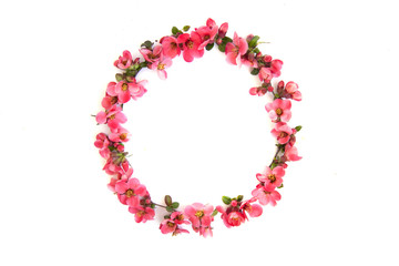 Round frame with pink buds of flowers, branches and leaves isolated on a white background. layout, top view, space.