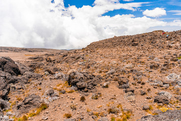 Beautiful landscape of Tanzania and Kenya from Kilimanjaro mountain.