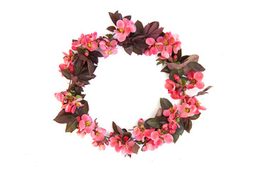 Round frame with pink buds of flowers, branches and leaves isolated on a white background. layout, top view, space.