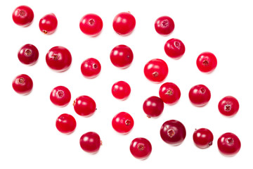 Cranberry isolated on white background. top view