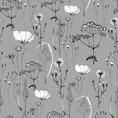 Naklejka premium seamless pattern field herbs and flowers, medicinal plants , botany hand- drawn liner black and white illustrations for printing, poppy and Thistle flowers, dill and chamomile, fern.