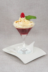 Creamy ice cream with raspberry jam, decorated with chocolate chips, raspberries and a sprig of mint in a glass for cocktails on a white porcelain square stand on a gray background