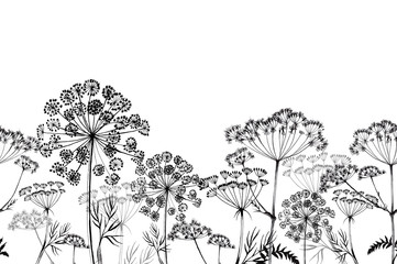 seamless pattern field herbs and flowers, medicinal plants , botany hand- drawn liner black and white illustrations for printing, poppy and Thistle flowers, dill and chamomile, fern.