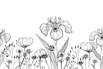 seamless pattern field herbs and flowers, medicinal plants , botany hand- drawn liner black and white illustrations for printing, poppy and Thistle flowers, dill and chamomile, fern.