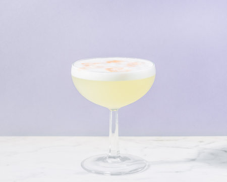 Pisco Sour Cocktail