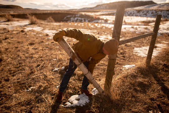 Rancher Fixing Barbwire Gate during Sunrise