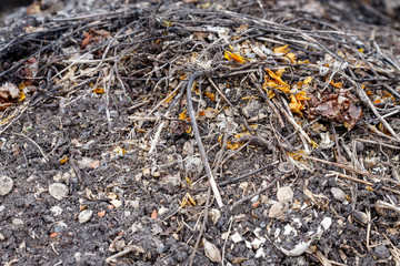Fresh compost pile, with garden material. Recycled Food. Fertilizer.