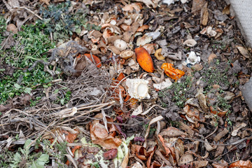 Fresh compost pile, with garden material. Recycled Food. Fertilizer.