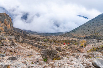 Beautiful landscape of Tanzania and Kenya from Kilimanjaro mountain.