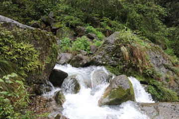 Beautiful landscape of cascade falls over mossy rocks, stones cover with moss, in a Mountain in Sichuan, China