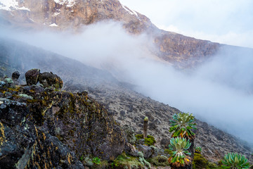Beautiful landscape of Tanzania and Kenya from Kilimanjaro mountain.