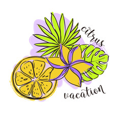 Tropical illustration with citrus fruit lemon, leafs and a flower - 336223438