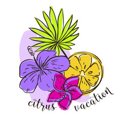 Tropical illustration with citrus fruit lemon, leafs and a flower - 336223471