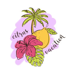 Tropical illustration with citrus fruit lemon, leafs and a flower. Vector illustration. - 336223634