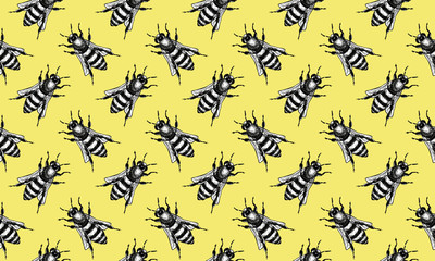 Hand drawn engraving Sketch of Bee fly. illustration for tattoo and handmade decorative brooch. Can be used for postcard, t-shirt, fabric bag or poster. Insect collection.