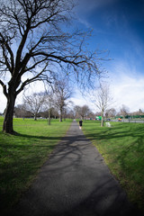 walk in the park, Phoenix Park, Dublin - Ireland