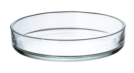 Petri dish isolated on white