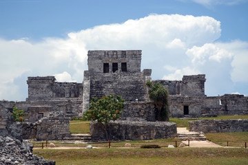 Fototapeta na wymiar America central - Yucatan , Mexico - Tulum ruins by the sea - Unesco heritage , attraction for tourist for the amazing sand beach and sea life