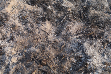 Fireplace with gray ash and slag after burning wood and garbage